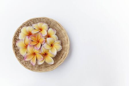 Fresh flower in the round basket with space on white backgroundの写真素材