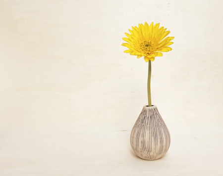Yellow daisy flower with space on wood backgroundの写真素材