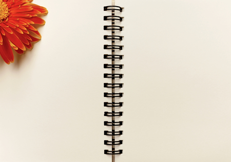 Blank notebook background and fresh orange flowerの写真素材