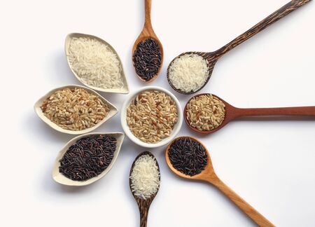 Rice collection on white backgroundの写真素材