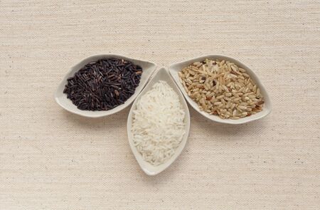 Rice collection designの写真素材