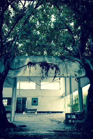 Abstract halloween background vintage cool tone styleの写真素材