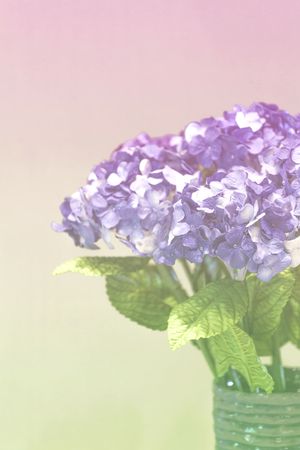 Hydrangea paper flower vintage styleの写真素材