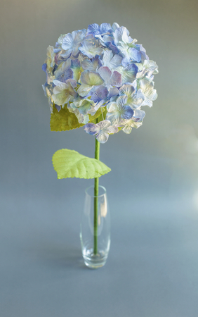 Hydrangea paper flower on grey background