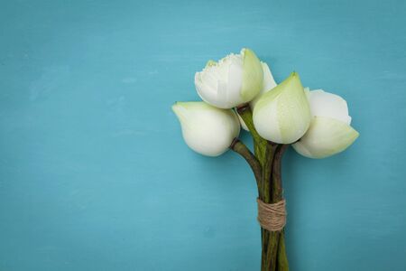 White lotus flower with space on blue backgroundの写真素材