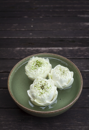 White lotus floating in green bowl with space on wooden floorの写真素材