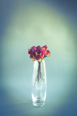 Roses in glass vase vintage styleの写真素材