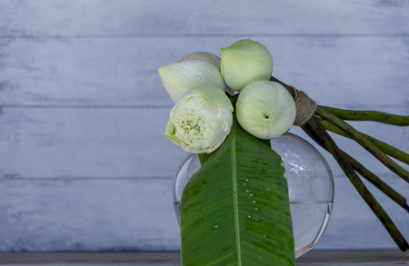 Fresh white lotus bouquet on round shape vaseの写真素材