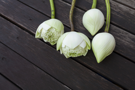 Close up white lotus flower with space on the dark wood floorの写真素材