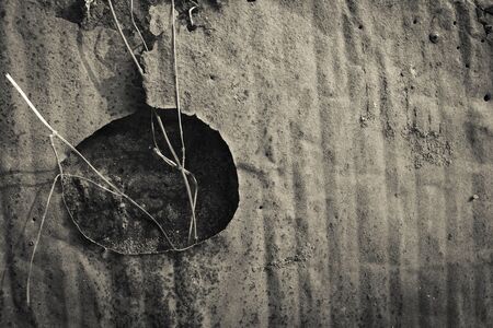 Vintage style dark old metal sheet wallの写真素材