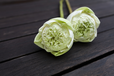 White lotus flower with space on dark wooden floorの写真素材