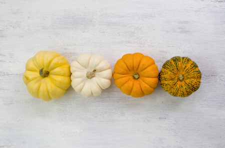 Mini pumpkin from top view on wood backgroundの写真素材