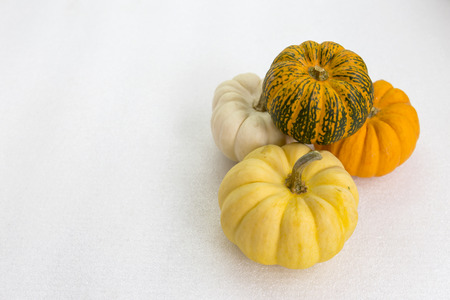 Mini pumpkin on white backgroundの写真素材