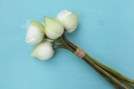 Lotus flower for morning ceremony at the temple in Thailandの写真素材
