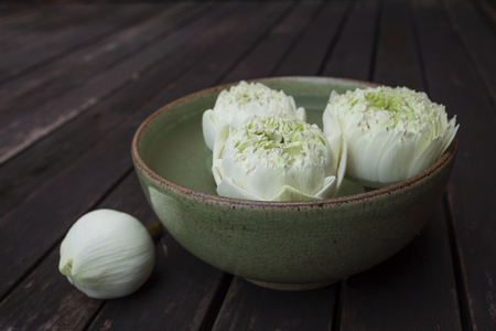 Blooming white lotus flower floating in green ceramic bowlの写真素材