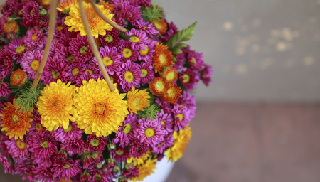 Colorful flower background banner styleの写真素材