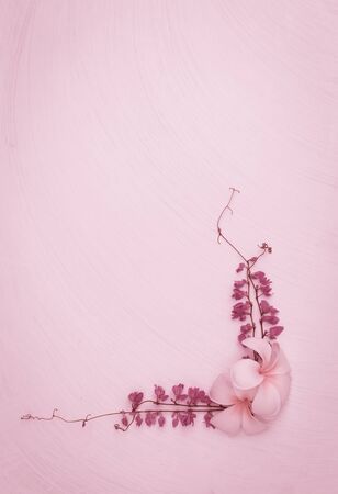 Vintage pink tone flower border on white texture backgroundの写真素材