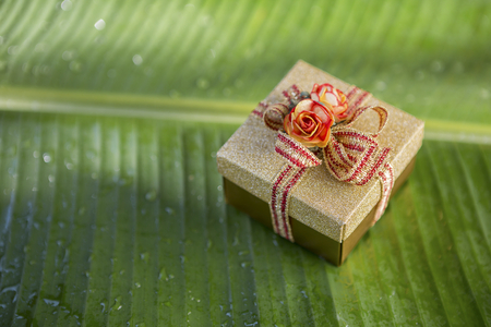 Tropical Christmas concept idea, Gold gift box on fresh banana leaf backgroundの写真素材