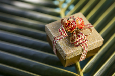 Closeup gold color gift box on fresh coconut leaf, natural background conceptの写真素材