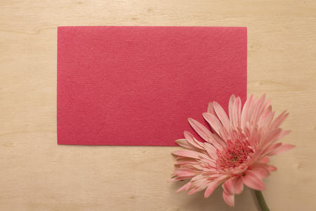 Pink daisy flower on blank red paper card on wood background, valentine conceptの写真素材