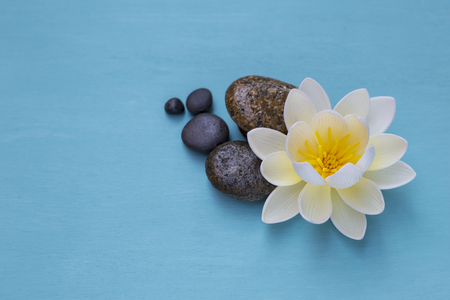 Spa decorate concept, white lotus flower on round pebble stone with space on blue backgroundの写真素材