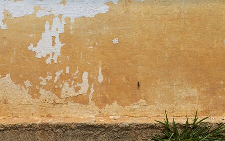 Dirty old cement wall backgroundの写真素材
