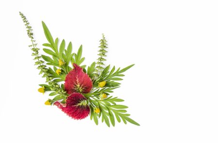 Fresh flower arrangement isolate on white background, flower and green leaf decorate, natural greeting card and invitation card conceptの写真素材