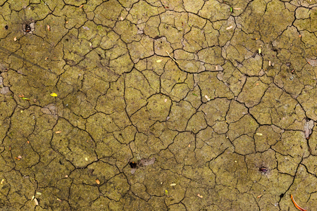 Abstract natural texture background of crack texture on dry soilの写真素材