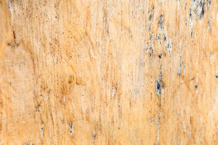 Closeup nature background of old yellow wood texture background, selective focusの写真素材