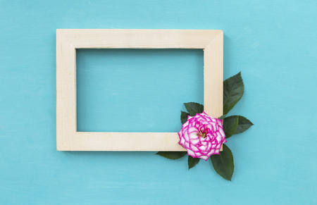 Pink rose with wooden frame on blue backgroundの写真素材