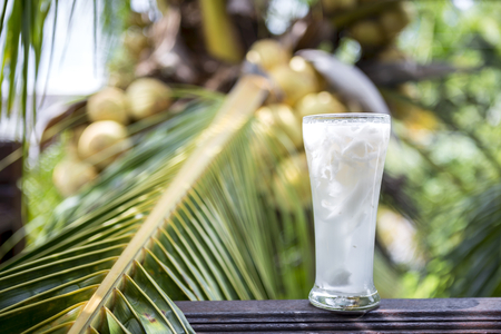 Healthy fresh coconut juice on wooden fence over blurred coconut treeの写真素材