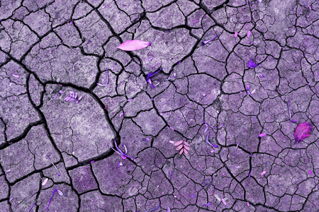 Abstract crack texture on dry soil background, vintage purple toneの写真素材