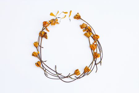 Dry yellow flower arrange in round shape frame, flower card backgroundの写真素材