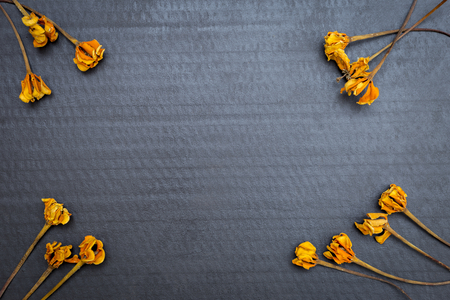 Dry yellow flower on black paper texture background, blank black paper card vintage style backgroundの写真素材