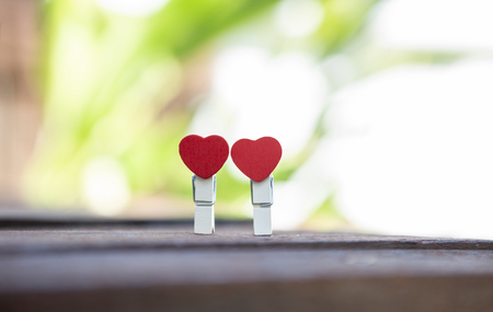 Two wooden red hart clip over blurred green garden, outdoor day light, valentine conceptの写真素材