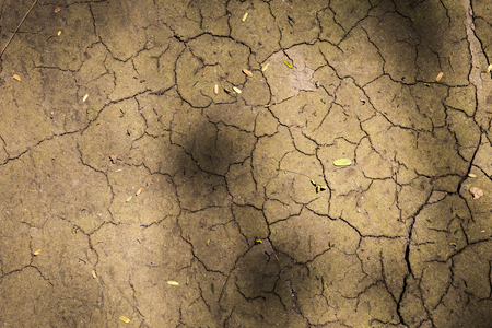 Closeup crack pattern on dry brown soil, nature texture backgroundの写真素材