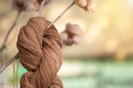 Brown cotton thread hanging on wooden stick over blurred background, Thai cottonの写真素材