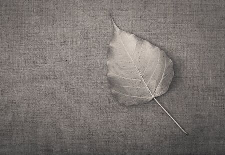 Boh leaf on fabric texture background, vintage tone style, Buddhist symbol