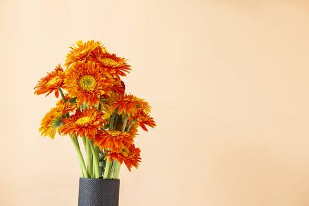 Beautiful oranage daisy flower in black ceramic vase with space on yellow background, house decorationの写真素材