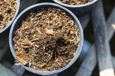 Mixed soil in plant pot, prepare for grow plant, healthy soil, outdoor day lightの写真素材