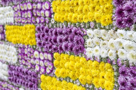 Fresh flower background, colorful flower wall, spring or summer season, wall decorationの写真素材