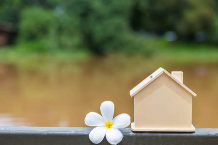 New wooden house with white Plumeria flower over blurred nature background, outdoor day light, property and real estate or house loan conceptの写真素材