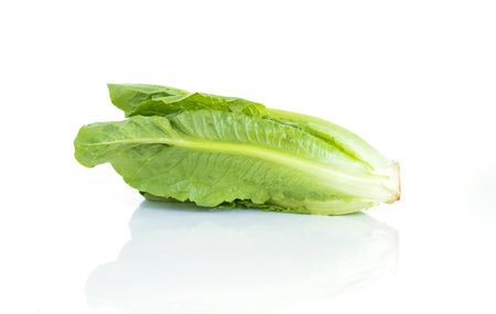 Cos Lettuce or Romaine Lettuce on white background, fresh organic vegetable, healthy diet foodの写真素材