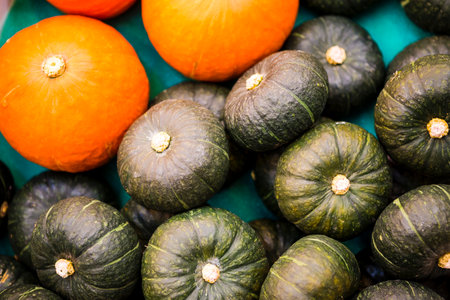 Japanese pumpkin, organic green and orange pumpkin, agriculture industry conceptの写真素材