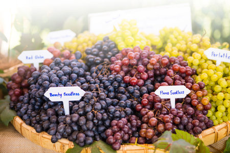 Seedless grape in bamboo tray over blurred background, organic fruit, healthy diet food
