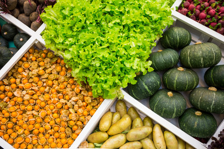 Vegetables and fruit display at the agriculture exhibition, fresh food, organic vegetableの写真素材