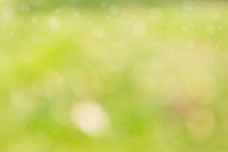 Abstract blurred natural green background, natural background, blank blurred green backgroundの写真素材
