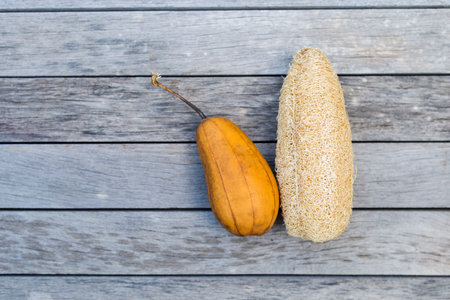 Dried gourd luffa on wood background, natural scrubber productの写真素材
