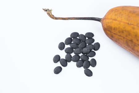 Dried gourd luffa seed and fruit isolate on white background, agriculture conceptの写真素材
