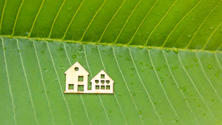 Wooden house symbol on fresh green leaf background, eco house concept, environmental backgroundの写真素材